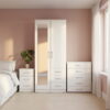 Gemini_Generated_Image_tz04pktz04pktz04 2-Door Wardrobe with 1 Full Mirror